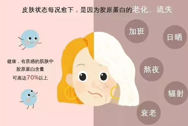 女人喝胶原蛋白饮多久见效？什么情况下需要喝胶原蛋白饮