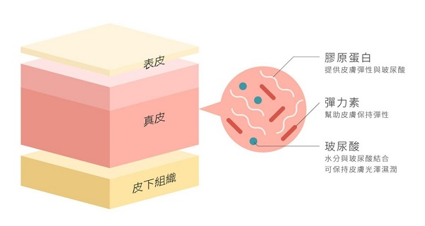 胶原蛋白肽的作用与功效是什么？悦湄兰胶原蛋白肽怎么样