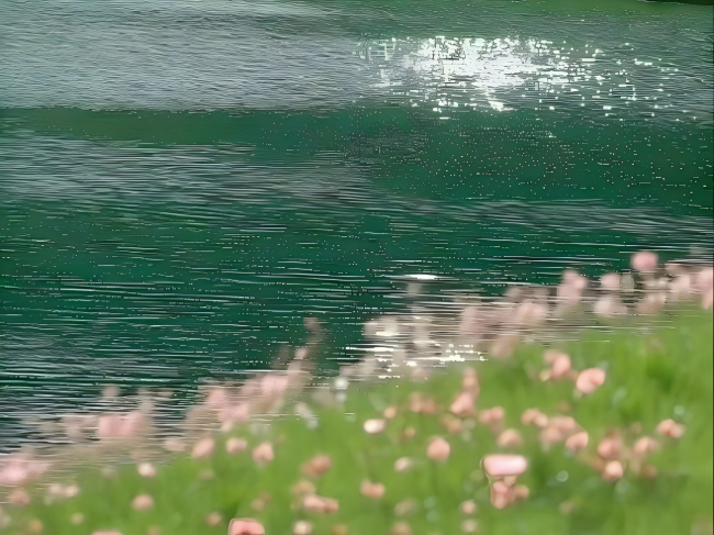 春季应季食物清单，吃对应季才是真养颜