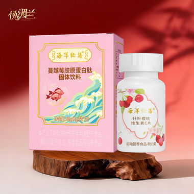 海洋搭档4.0（新）