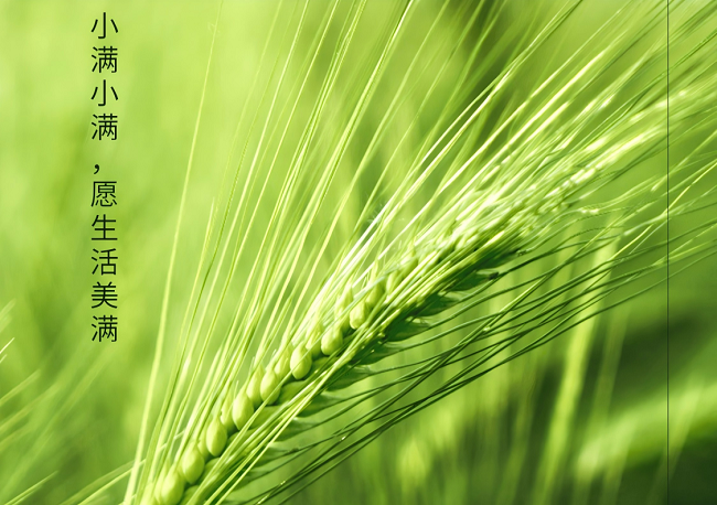 小满至，熟龄肌抗老别盲目！做好这件小事更有效