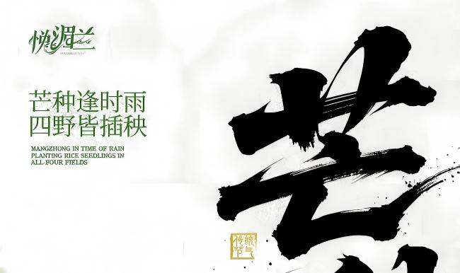 芒种时节，做自己的“肌肤管理人”