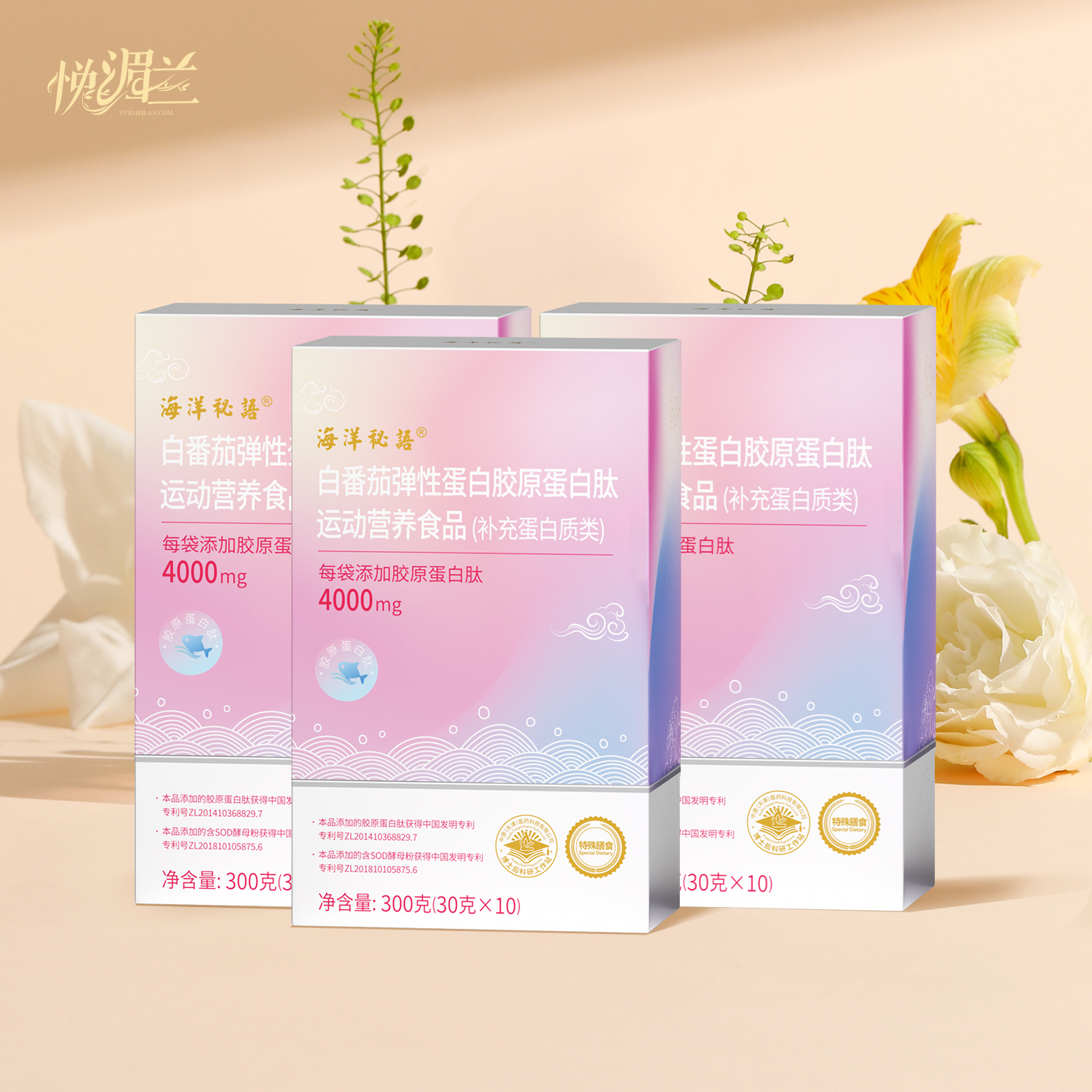 白番茄弹性蛋白胶原蛋白肽运动营养食品（3盒）