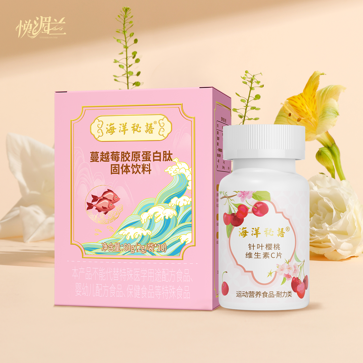 海洋搭档4.0（新）